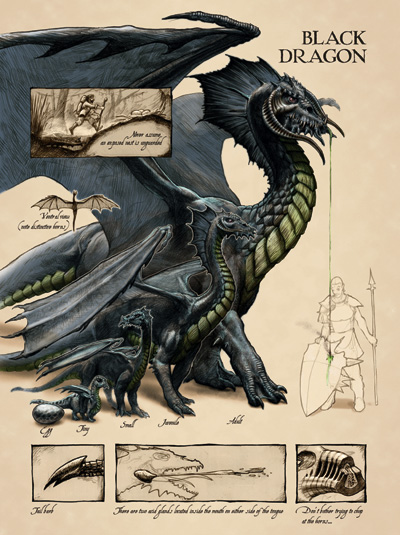 black_dragon_anatomy_-_lars_grant-west